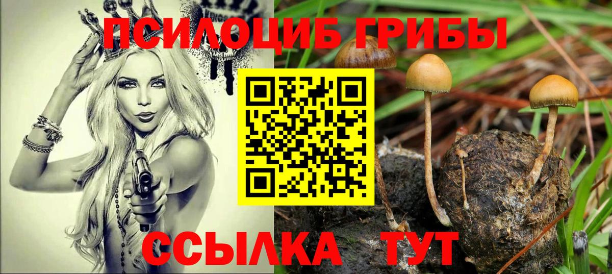 Гуково  Галлюциногенные грибы Psilocybine cubensis  Вход с VPN 