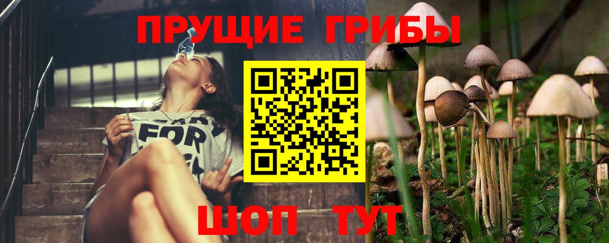 Галлюциногенные грибы GOLDEN TEACHER Гуково